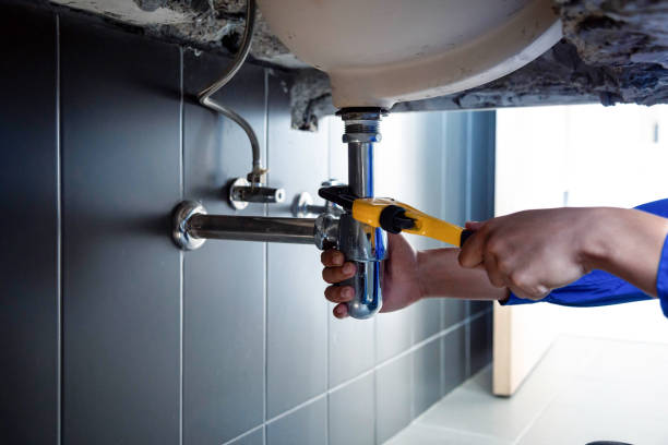 Best Garbage Disposal Repair and Installation  in Horseshoe Bay, TX